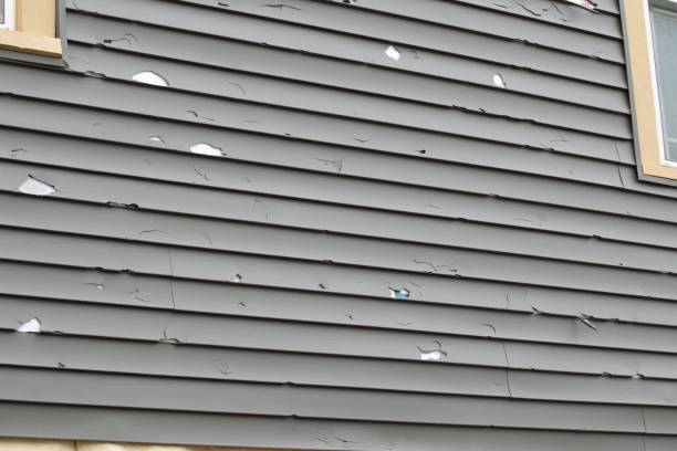 Best Historical Building Siding Restoration  in Allentown, PA