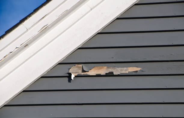 Best Custom Trim and Detailing for Siding  in Allentown, PA